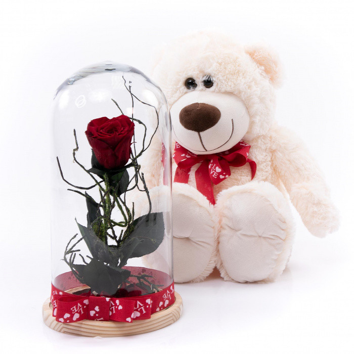 Trandafir criogenat romantic si ursulet de plus 40 cm – imaginea 1