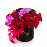 Cutie trandafiri lux Preludiu – Standard