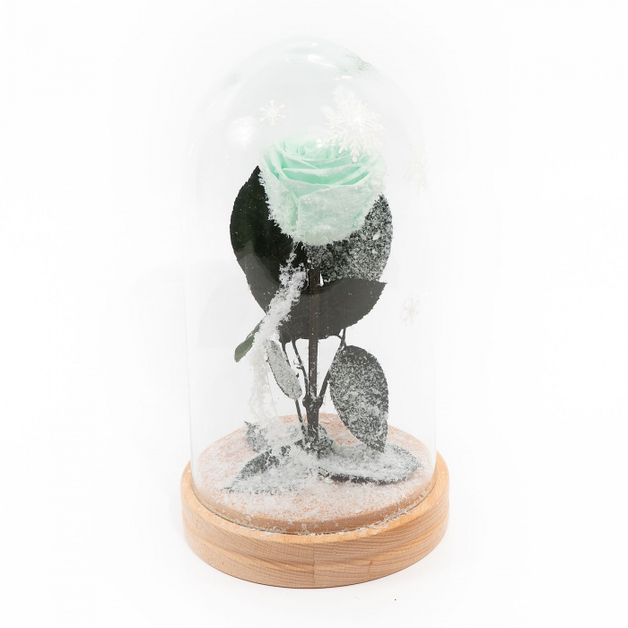 Baby, it's cold outside! – imaginea 1