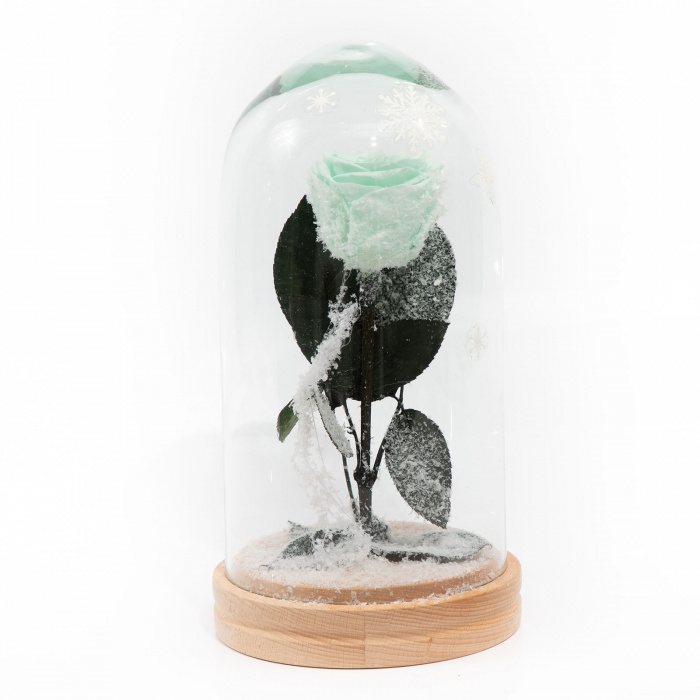 Baby, it's cold outside! – imaginea 2