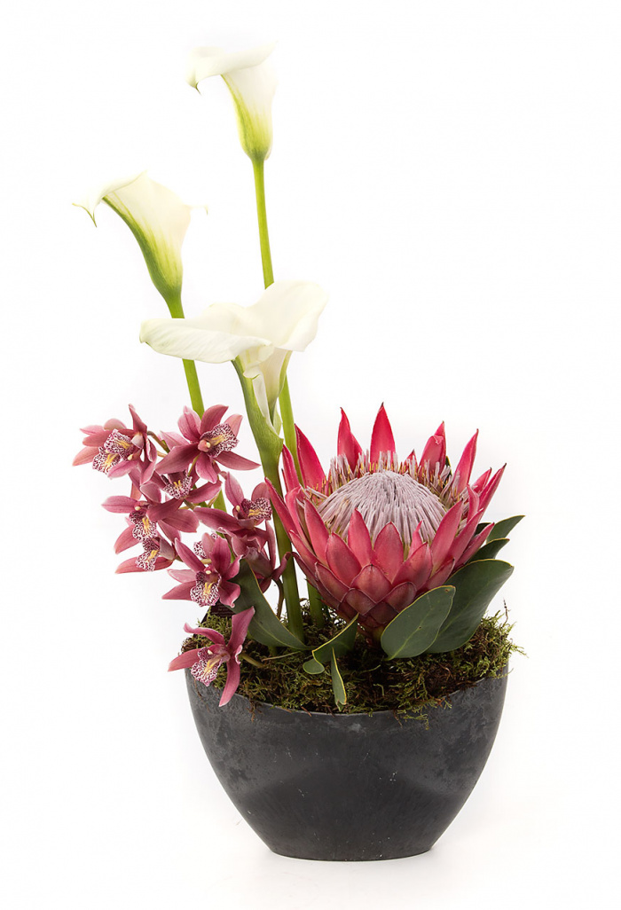 Aranjament business cale, protea, orhidee – imaginea 1