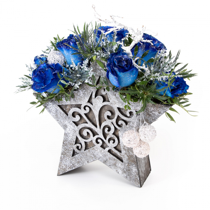Steluta norocoasa BLUE Christmas – imaginea 1