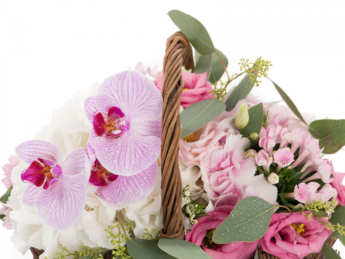 Cos elegant orhidee si lisianthus