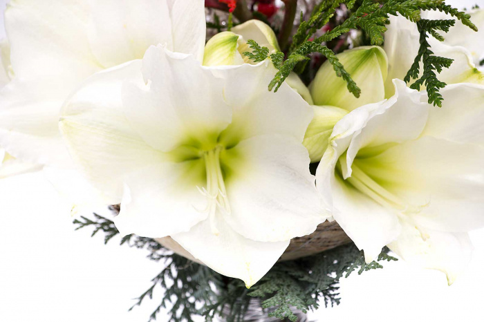 Buchet cadou iarna rustic – imaginea 4