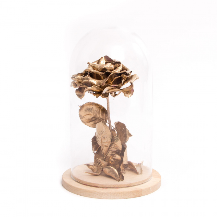 Trandafir criogenat Amour L'Or si ursulet – imaginea 2