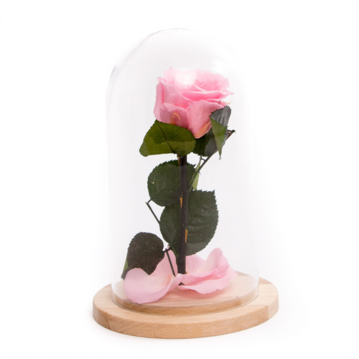 Cupola Luxury Lady – imaginea 1