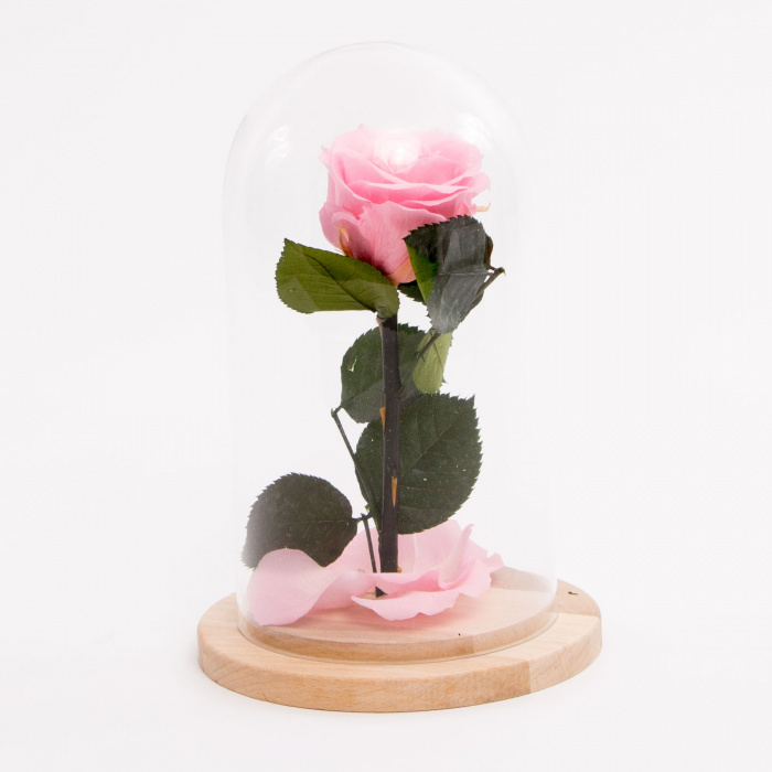 Cupola Luxury Lady – imaginea 2