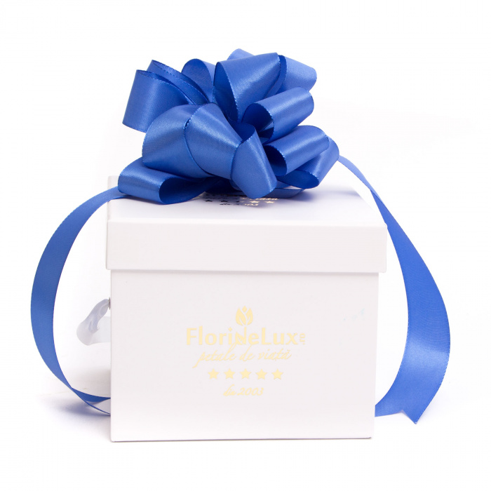 Cutie de lux Blue Heart si sampanie de lux
