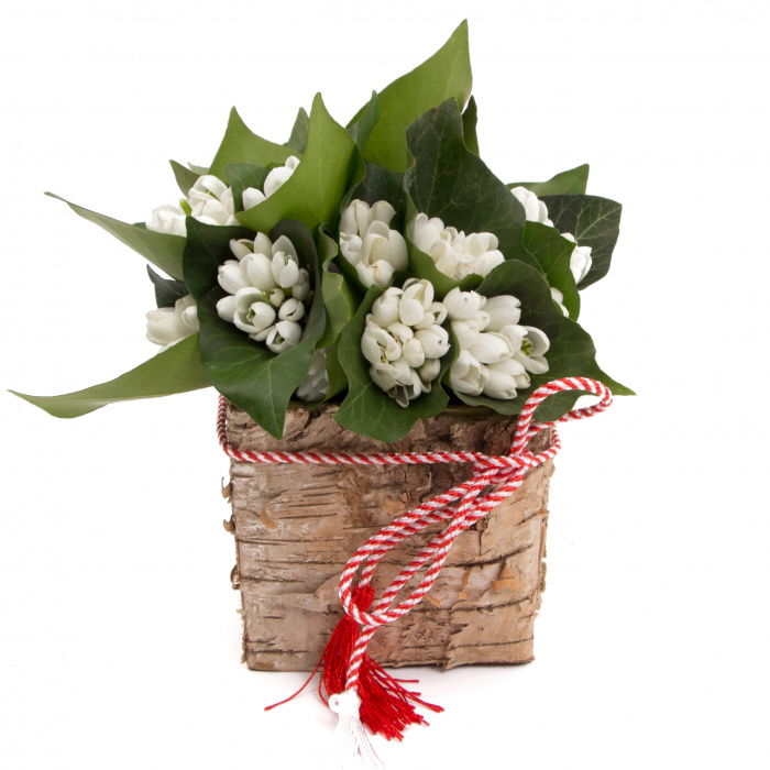 Ghiocei martisor – imaginea 1