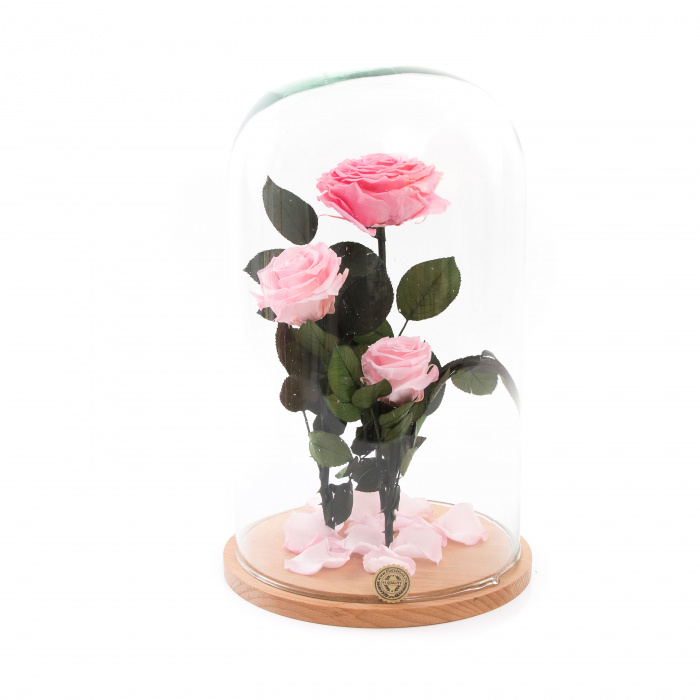 Cupola Delicate Feeling si sampanie Moet Ice Imperial – imaginea 2