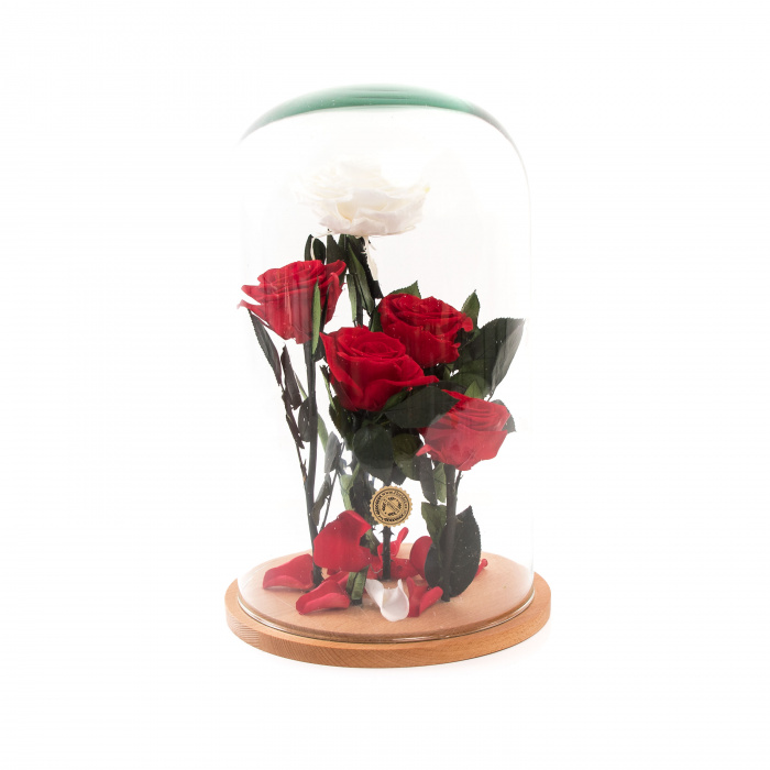 Trandafiri criogenati Garden of Eden si sampanie Rose – imaginea 2