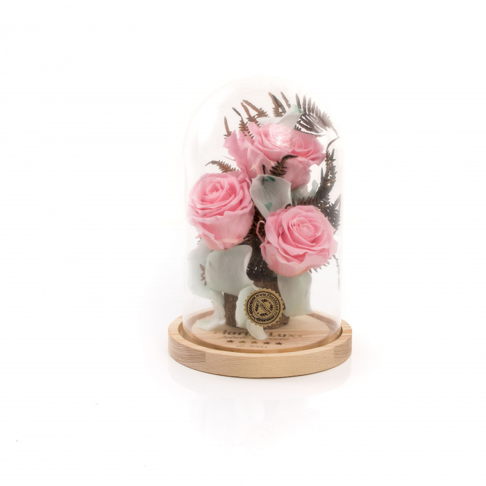 Trandafiri criogenati Pink Kiss – imaginea 1