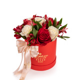Cutie trandafiri My Heart is Yours – Standard