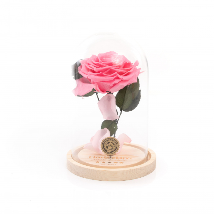 Cupola The princess si sampanie lux – imaginea 2