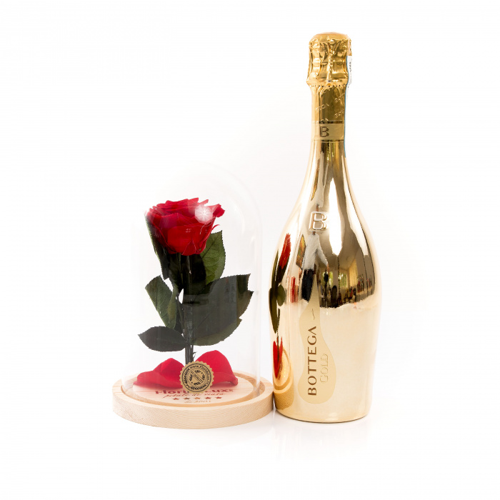 Trandafir criogenat rosu si Bottega Gold