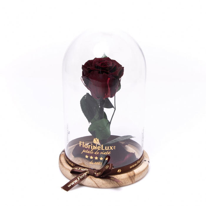Trandafir criogenat Mistery Red – imaginea 1