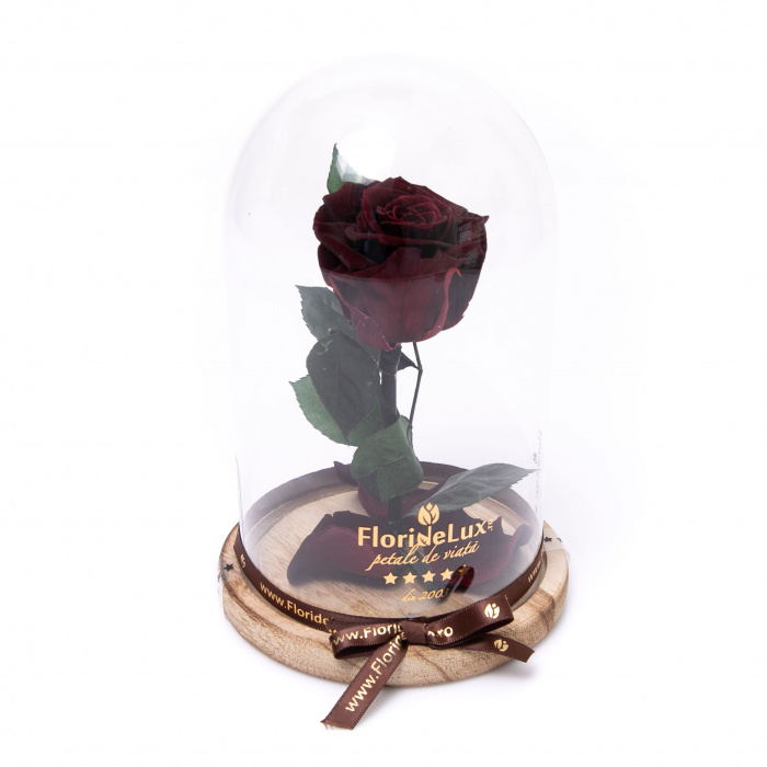 Trandafir criogenat Mistery Red – imaginea 2