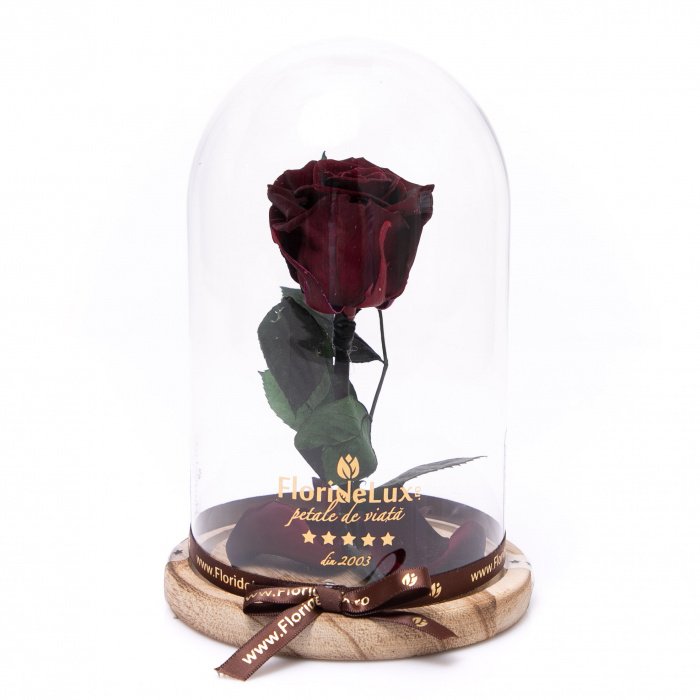 Trandafir criogenat Mistery Red – imaginea 3