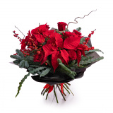 Decorul preferat al lui Mos Craciun – Floridelux