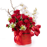 Aranjament lalele rosii si ornitogalum – Floridelux