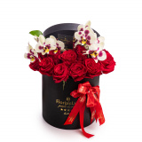 Cutie cu trandafiri si orhidee Absolute Elegance – Standard