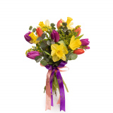 Buchet narcise si lalele „Nuantele Primaverii” – Standard