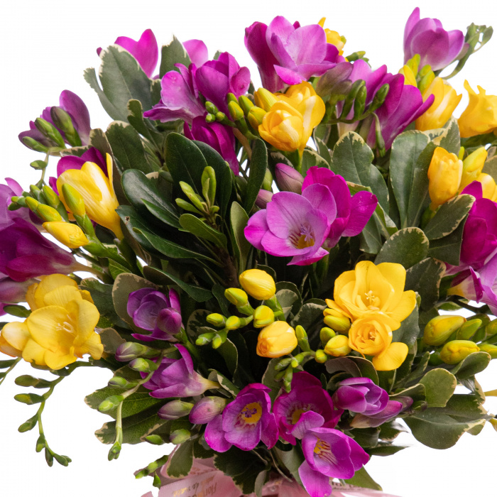 Buchet frezii colorate Vivid Love – imaginea 2