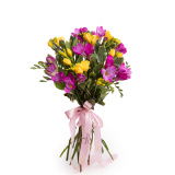 Buchet frezii colorate Vivid Love – Standard