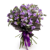 Buchet frezii mov Springtime – Premium