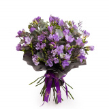 Buchet frezii mov Springtime – Floridelux