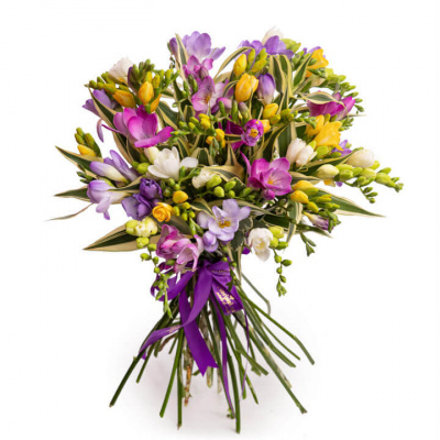 Buchet frezii colorate Darul primaverii