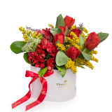 Aranjament floral in cutie cu lalele Spring Love – Premium