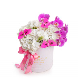 Aranjament floral cu hortensii, orhidee si fluturi colorati – Standard