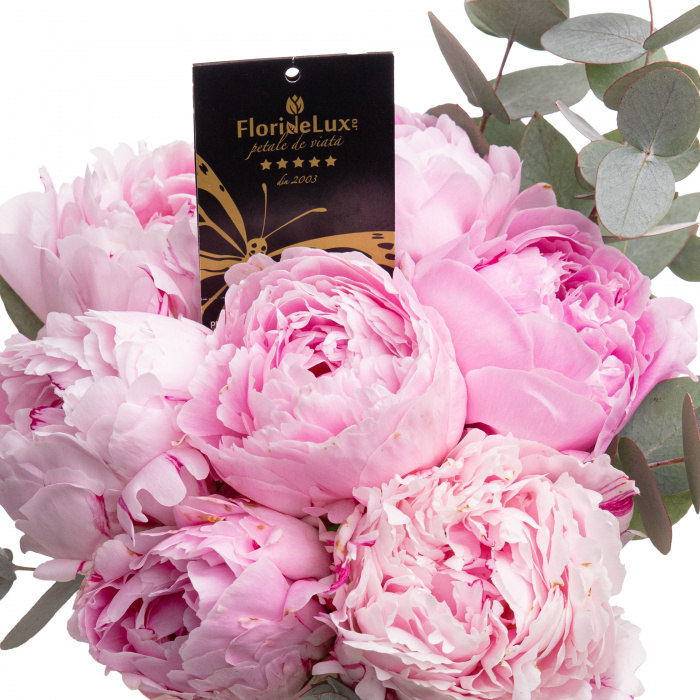 Detaliu de aproape cu florile din Buchet bujori, varianta Deluxe, compusa din 7 bujori roz, 2 crengute de eucalipt
