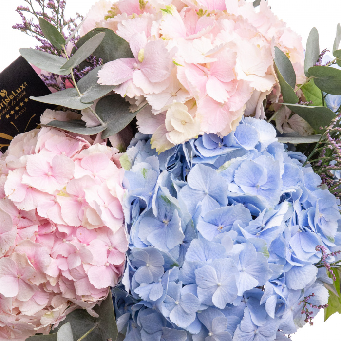 Buchet hortensii colorate – imaginea 2