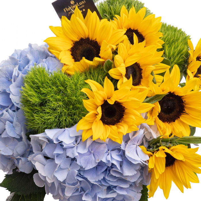 Buchet floarea-soarelui si hortensii Majestic Sunshine
