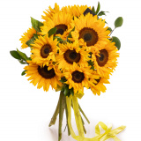 Buchet cu floarea-soarelui – Premium