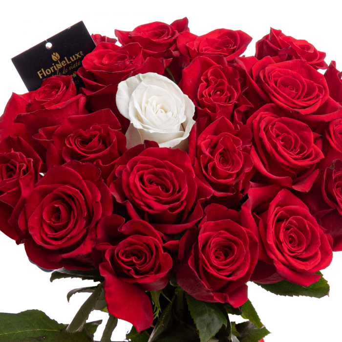 Buchet trandafiri rosii Love Elixir – imaginea 2