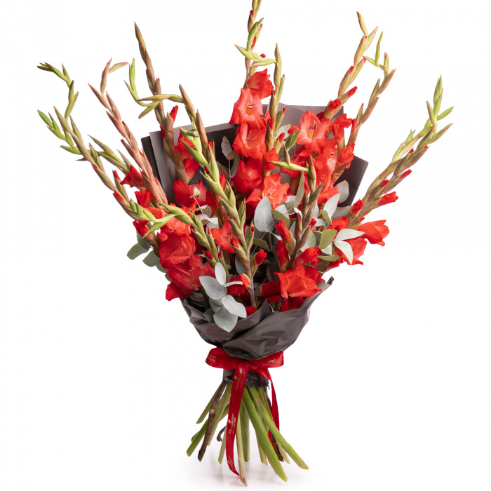 Buchet gladiole rosii