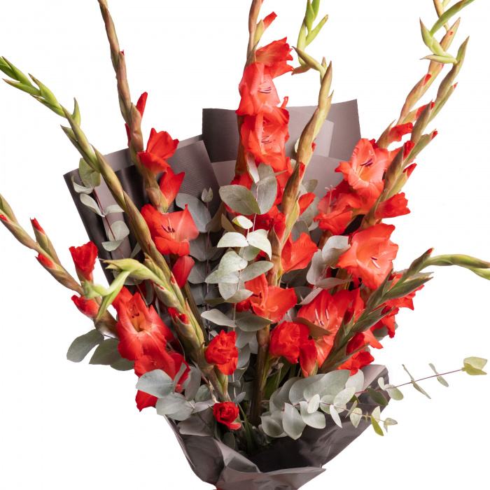 Buchet gladiole rosii – imaginea 2