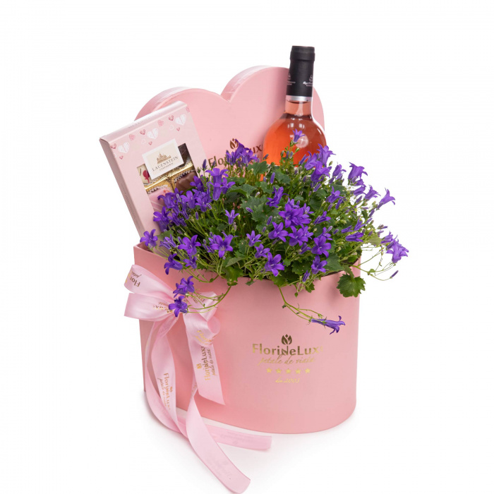 Aranjament planta Campanula, ciocolata si vin – imaginea 1