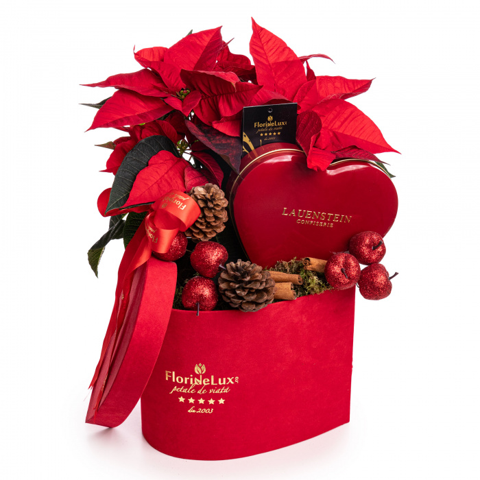 Cadou Craciun "Love Story"