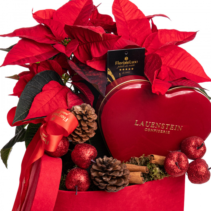 Cadou Craciun "Love Story"