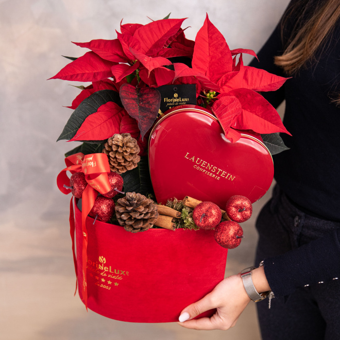 Cadou Craciun "Love Story"
