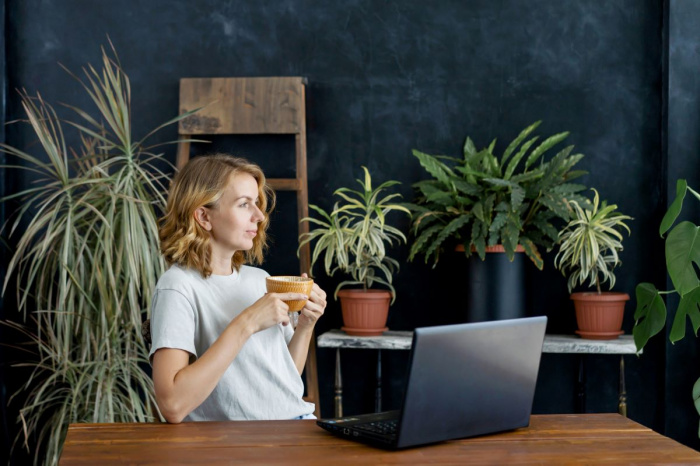 10 plante decorative pentru birou. Idei pentru un spațiu de muncă relaxant și productiv
