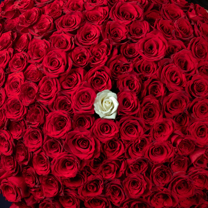 Buchet 201 trandafiri „Romantic Surprise” – imaginea 2