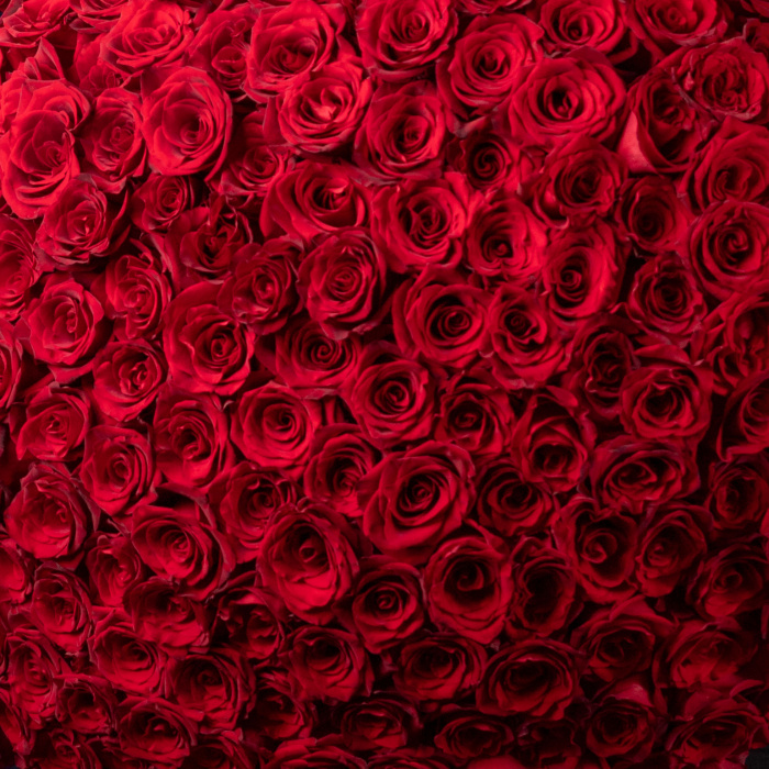 Buchet 201 trandafiri rosii – imaginea 2