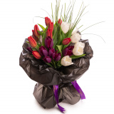 Mix lalele pentru ea – Premium