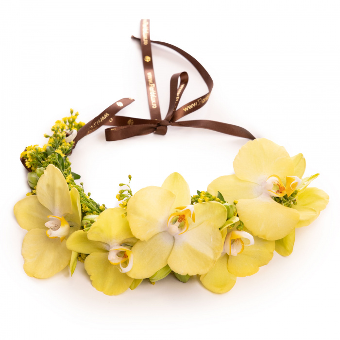 Coronita de Sanziene – imaginea 1