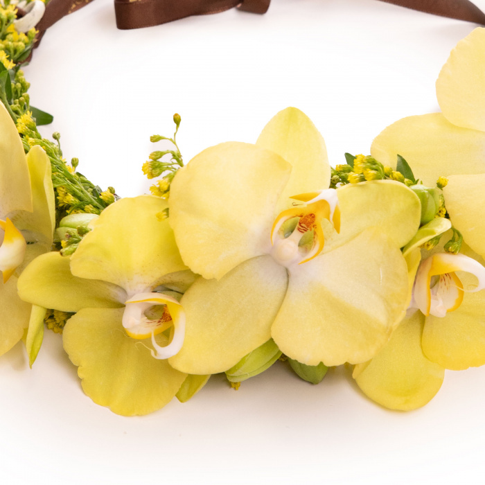 Coronita de Sanziene – imaginea 2
